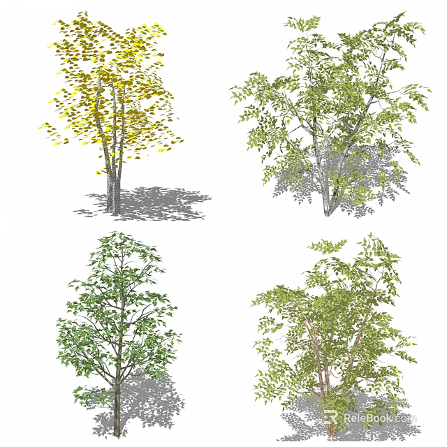 Arbor Trees With Various Species Different Leaf Colors And Natural Growth Forms 3d model
