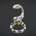 Coiled Reptile Snake with Black and White Patterns on Detailed Gray Background 3d model