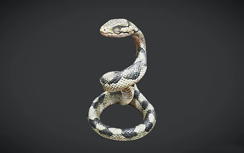 Modern Snake Cobra Viper 3d model
