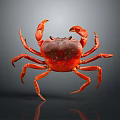 Red Crab With Bright Red Shell And Extended Claws On Dark Background With Reflection 3d model