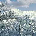 Snowy Garden Landscape With Bare Trees And Snow Covered Hills Under Cloudy Sky
