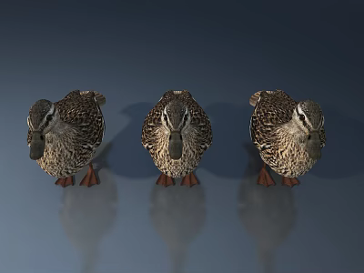 Modern Pet Cabinet With Three Duck Figurines And Reflections On Gray Background 3d model