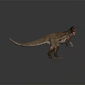 Realistic Brown Tyrannosaurus Rex 3D Model With Open Mouth And Gray Background