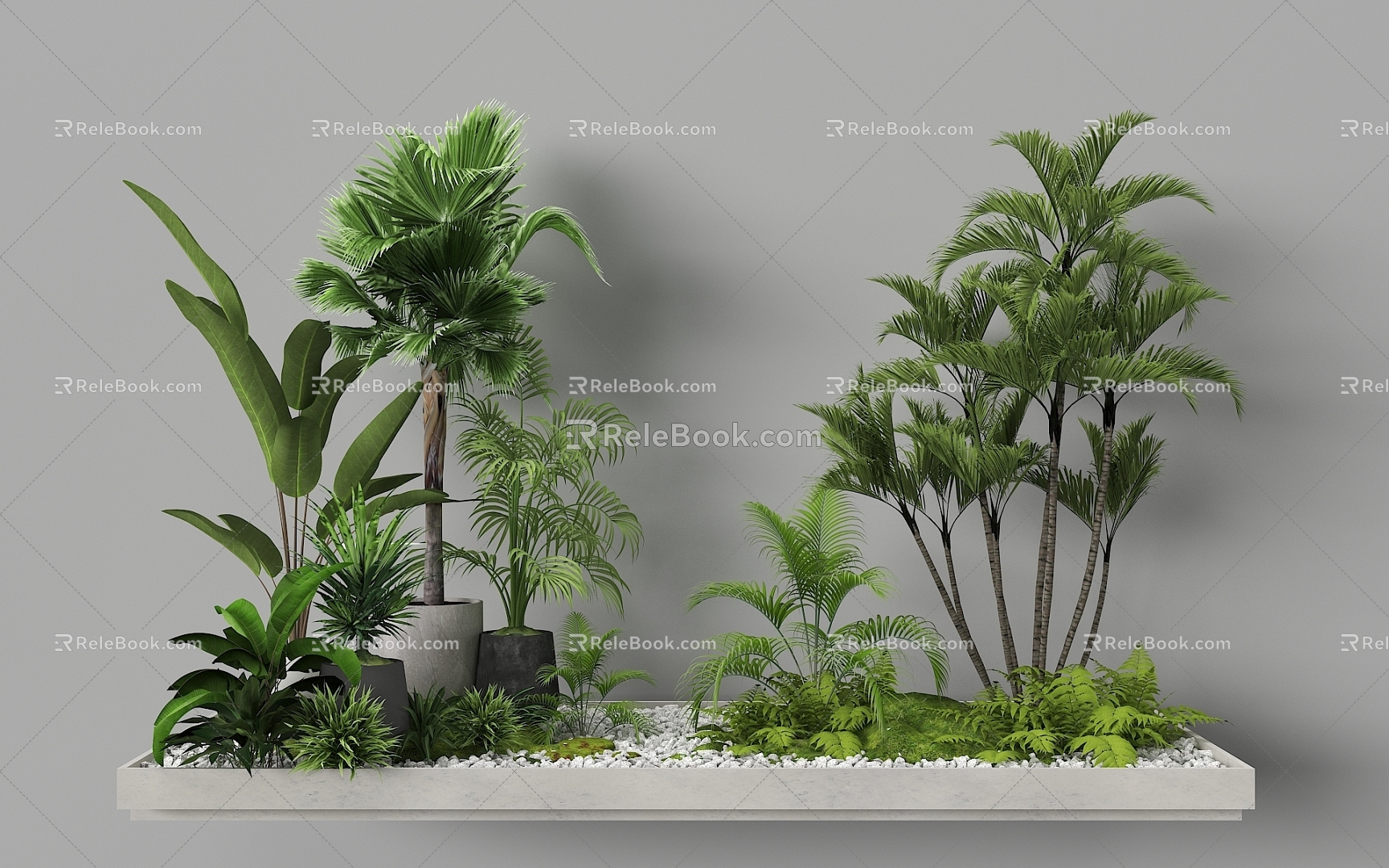 Indoor Landscape Landscape Fern Plant Heap Micro Terrain Tropical Plants 3d model