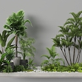 Indoor Landscape Landscape Fern Plant Heap Micro Terrain Tropical Plants 3d model