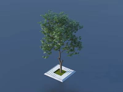Lush Green Arbor Planted on Square White Base with Green Lawn Against Blue Background 3d model