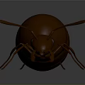 Detailed 3D Rendered Ant With Large Round Abdomen On Smooth Dark Surface With Reflection