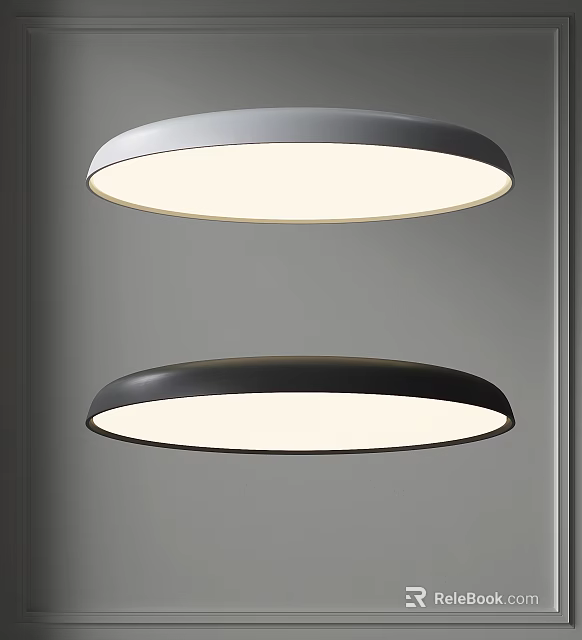 Pair Of Modern Round Flush Mount Ceiling Lights Gray And Black With White Illumination 3d model 