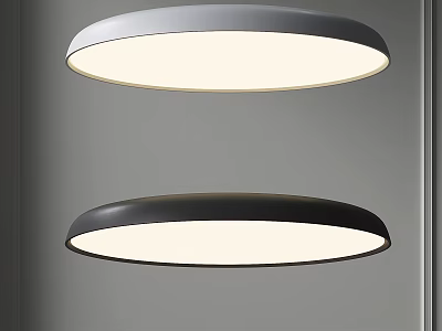 Pair Of Modern Round Flush Mount Ceiling Lights Gray And Black With White Illumination 3d model