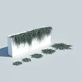 Green Vines Growing on White Rectangular Container with Hanging Trails and Small Clusters Beside 3d model