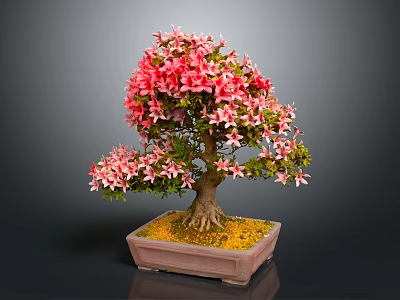 Bonsai Tree With Pink Flowers In Square Light Brown Pot Against Gray Background 3d model