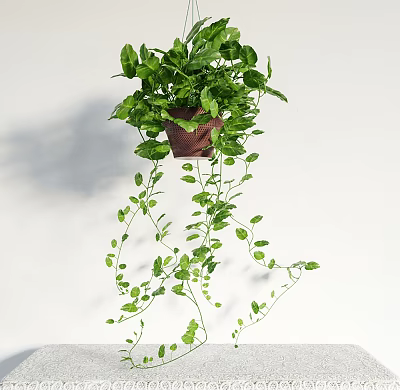 Hanging Basket Plant with Lush Green Trailing Leaves in Brown Pot for Indoor Decoration 3d model