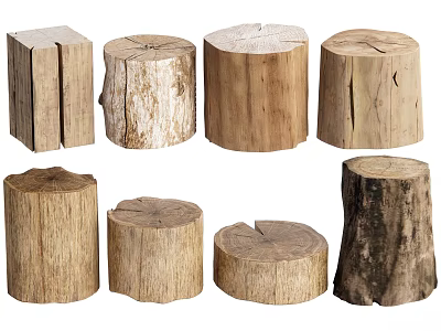Natural Wood Tree Stump Stools With Rustic Style Various Shapes And Organic Texture 3d model