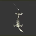 Detailed Medical Device Crocodile Skeleton 3D Anatomical Model for Educational Use 3d model