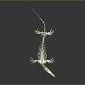 Modern Skeleton Animal Skeleton Lizard Skeleton Skeleton 3d model