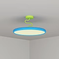 Modern Round Ceiling Light With Green Frame And White Illumination For Room Interior