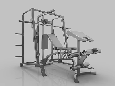 Heavy Duty Multi Functional Fitness Equipment For Home Gym With Weight Bench And Barbell Rack 3d model