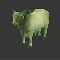 White And Dark Brown Cow Standing On Shiny Surface With Gray Background 3d model