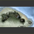 3D Terrain Model Displaying Mountains Ocean Islands And Green Vegetation