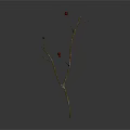 Dry Plant Branch With Thin Twigs And Small Red Fruits On Gray Background
