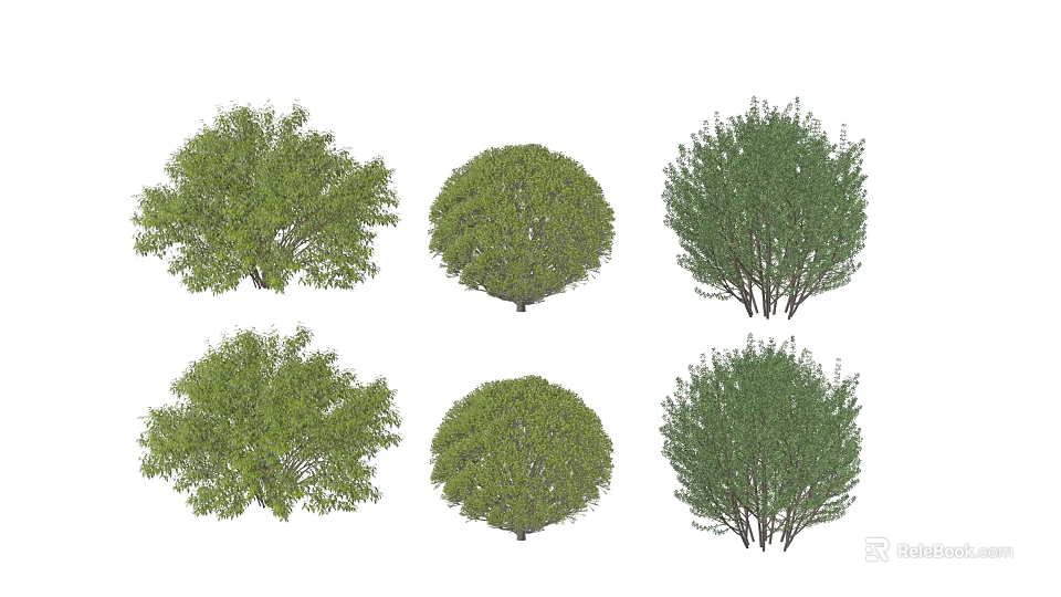 Diverse Green Arbor Varieties With Various Crown Shapes And Lush Foliage 3d model 