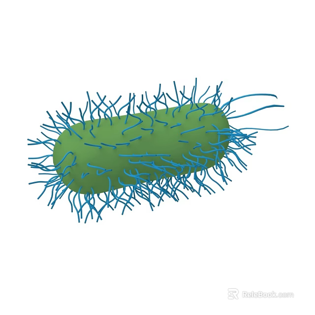 Green Bacterial Cell Structure With Blue Hair Like Cilia And Flagella 3d model 