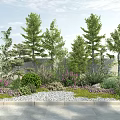Garden Flowers and Plants in Landscape with Trees Shrubs Gravel Grass and Background Wall