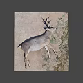 Dead Deer With Large Antlers Lying On Ground With Grass And Dirt