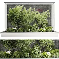 Lush Indoor Green Garden With Trees Plants And White Stone Decor