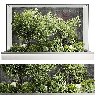 Lush Indoor Green Garden With Trees Plants And White Stone Decor 3d model