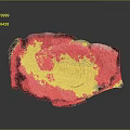 Trilobite Fossil Rock Decoration As Unique Home Living Ornament Piece