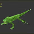Reptile Lizard 3D Model Display On Black Background With Detailed Features