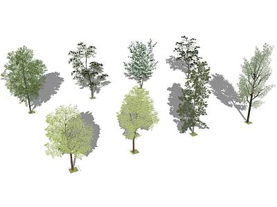 Various Tree Varieties with Lush Green Foliage and Diverse Canopy Shapes 3d model
