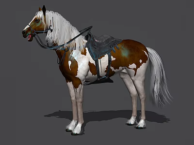 Brown And White Horse With White Mane Tail And Saddle Standing On Gray Background 3d model