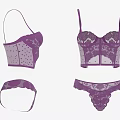 Elegant Purple Intricate Lace Women's Bralette and Panties Lingerie Set