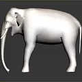 Gray Elephant Standing On Dark Surface With Long Ivory Tusks