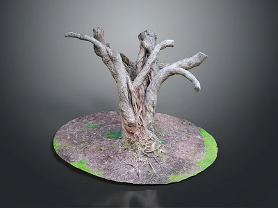 Rustic Wooden Stump With Twisted Branches Green Moss And Circular Base 3d model