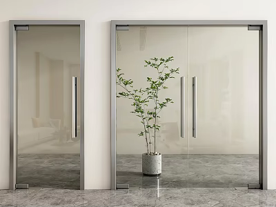 Modern Glass Double Doors With Metal Frame And Potted Plant On Sleek Floor 3d model