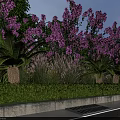 Municipal Road with Purple Flowers Green Ferns and Lush Landscaping Features