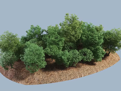 Lush Green Arbor Grove With Dense Foliage In Natural Soil Environment 3d model