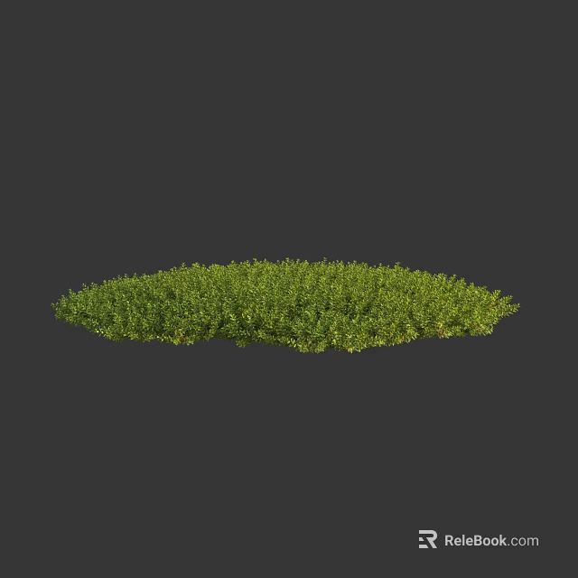 Fresh Lush Green Flowering Plants In Round Shaped Garden Patch Design 3d model 