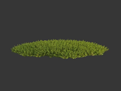 Fresh Lush Green Flowering Plants In Round Shaped Garden Patch Design 3d model