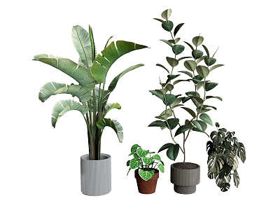 plant green plant potted plant flower pot plantain tropical plant model