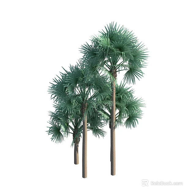 Three Tropical Palm Trees With Green Fronds And Brown Trunks On White 3d model 