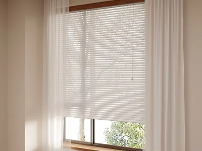 White Sheer Curtain With Venetian Blinds And Natural Light Through Tree View Window 3d model