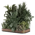 Garden Decorative Plant Arrangement With Various Green Plants In Wooden Planter