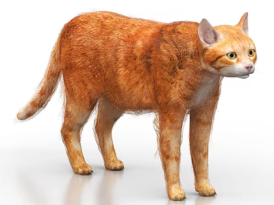 Orange Cat 3D Render With Fluffy Fur And Standing Pose Details 3d model