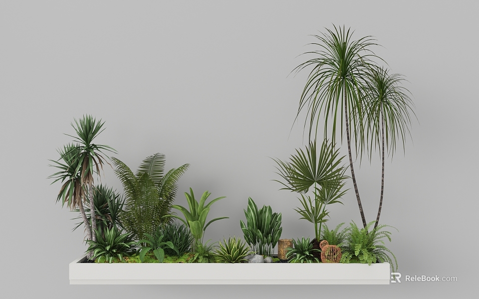 Indoor Garden Landscape with Various Palm Ferns and Green Plants in White Planter Box 3d model 