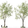 Two Green Leafy Trees With People Standing And Sitting Underneath 3d model