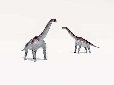 Two Sauropod Dinosaurs With Long Necks Gray Red Patterns On White Background 3d model